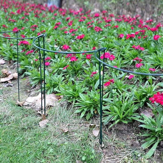 TCBWFY 20 Pack Garden Plant Support Stakes,10" Widex16 High Heavy Duty Interlinked Half Round Peony Support Ring Cage for Indoor Outdoor Plants,Plant Supports for Peony,Tomato,Hydrangea,Rose