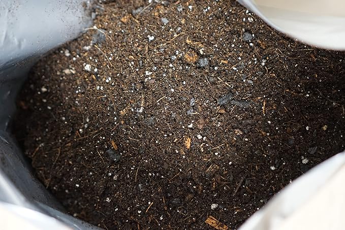 Liqui-Dirt Natural Potting Soil Bio-Organic Mix for Indoor & Outdoor Plants - Ideal for Monstera, Succulents, Orchids, Cactus, and More