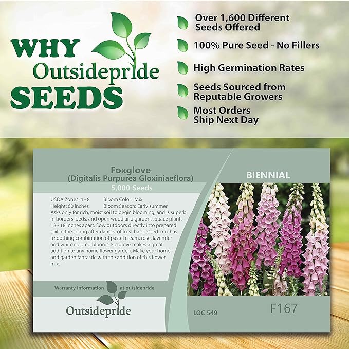 Outsidepride 10000 Seeds Biennial Digitalis Foxglove Gloxiniaeflora Flower Seed Mix for Planting