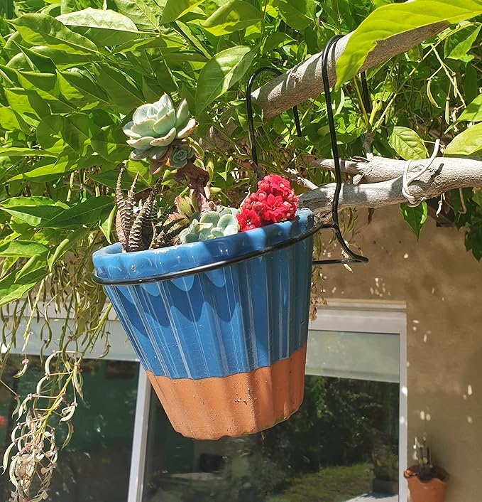 6 Pieces, 6 inches Iron Hanging Flower Pot. Metal Plant Wall Hanger, Vertical Garden. Planter Hook Ring, Rail Metal Fence. Indoor and Outdoor. Yard Garden. Wire Trellis. Collapsible Bracket. (Black)