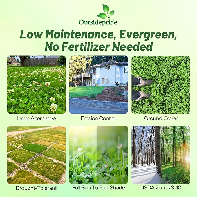 Outsidepride Perennial White Dutch Clover Seed - 1 lbs. Nitrocoated, Inoculated Clover Seeds for Lawn Alternative, Erosion Control, Food Plots, Ground Cover, & Pasture Mixtures in USDA Zones 3-10