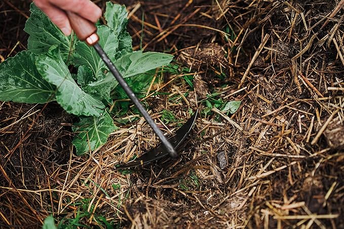 Barebones Triangle Hoe - Stainless Steel Hoe - Japanese Gardening Tools for Weeding, Long Handle and Hand Hoe (Walnut/Black)