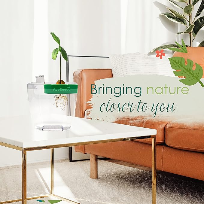 Avocado Growing Kit - Indoor Gardening Gift for Growing Avocado Trees from Pits