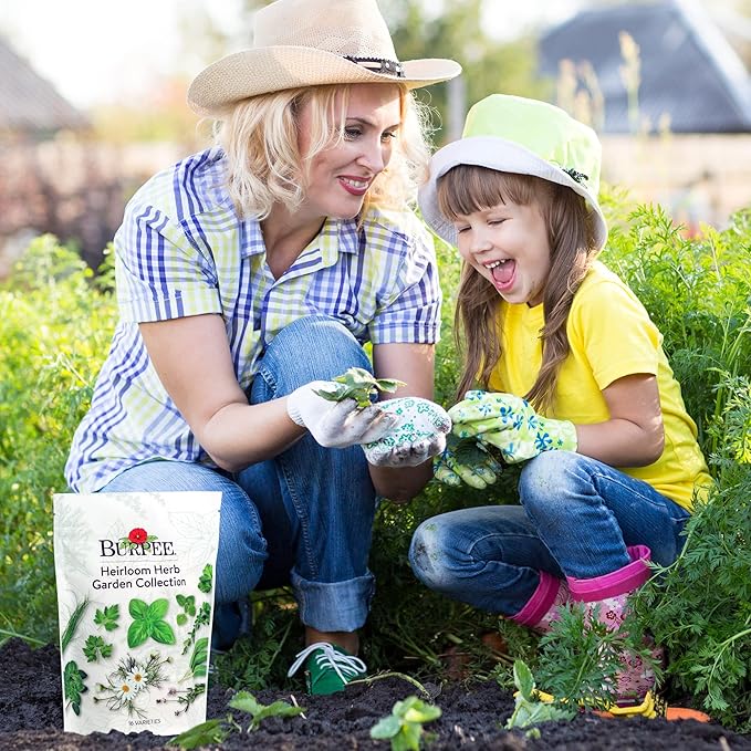 Burpee Heirloom Herb Seeds Variety Pack, Non-GMO, 16 Herbs - 15,000+ Seeds with Basil, Chives, Catnip, Chamomile, Cilantro, Dill, Lavender, Oregano, Parsley, Rosemary, Spearmint, Sage, Tarragon, Thyme