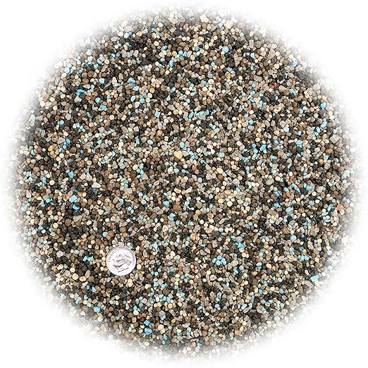 6-6-6 All Purpose Professional Garden Fertilizer - Optimize Nutrition for Thriving Plants in Every Corner of Your Garden - 5 QUARTS