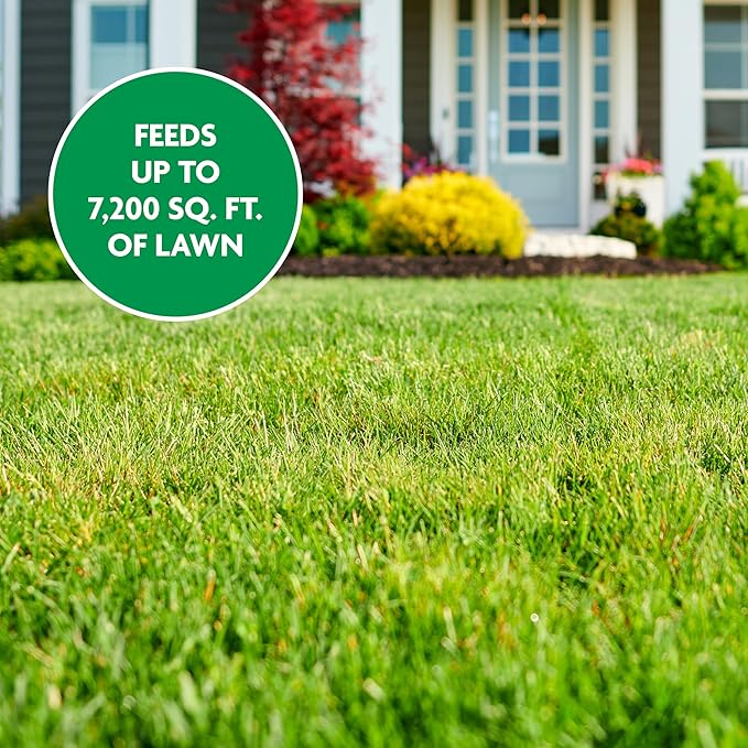 Miracle-Gro Water Soluble Lawn Food and Garden Feeder Bundle, Hose-End Feeding System for Lawns