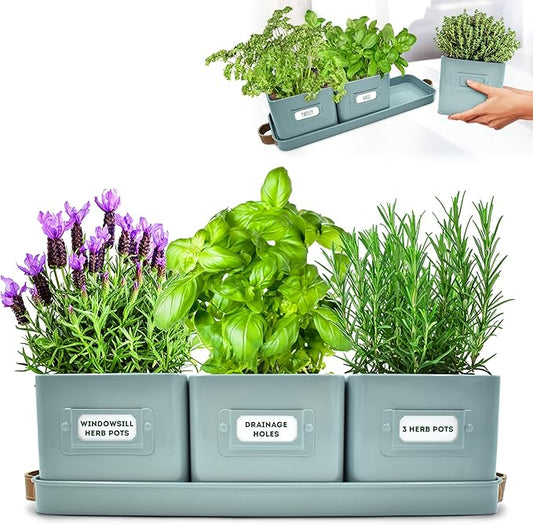 Herb Planter Indoor - Set of 3 Teal Blue Indoor Herb Garden Pots for Plants with Leather Handled Tray - Window Sill Plant Shelf - Herb Pots with Drainage Holes and Labels