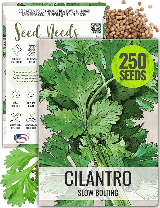 Seed Needs, Cilantro Herb Seeds - 250 Heirloom Seeds for Planting Coriandrum sativum - Non-GMO & Untreated