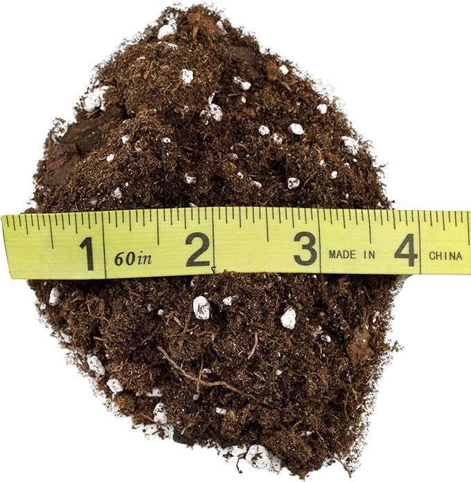 Hoya Plant Potting Soil Mix (4 Quarts), Custom Blend for Growing Hoya Tropical Houseplants