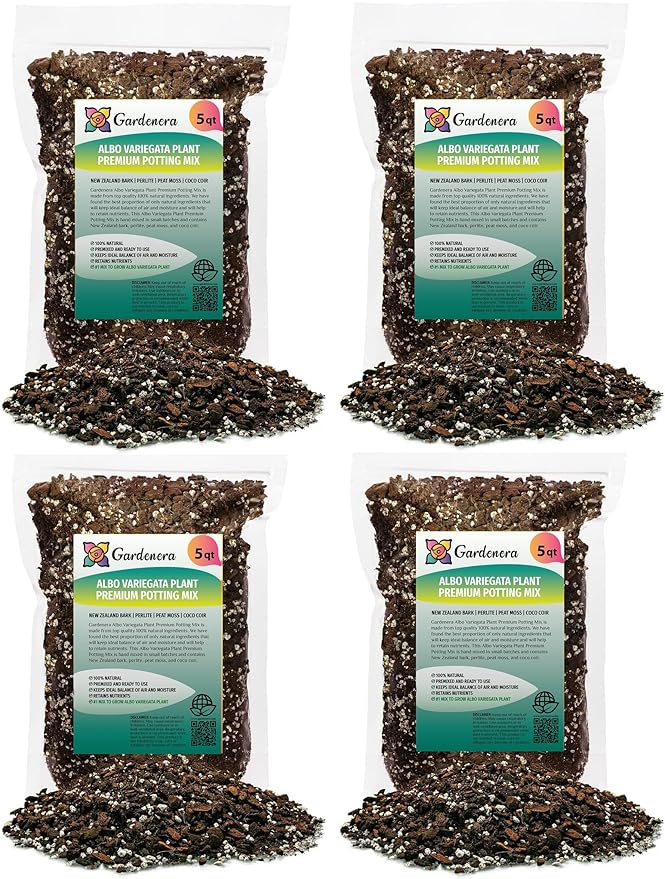 Albo Variegata Soil Blend - Trusted by Gardening Experts for Vibrant and Healthy Plants - 20 Quart (4 Bags of 5 Quart)