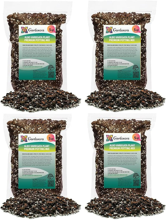 Albo Variegata Soil Blend - Trusted by Gardening Experts for Vibrant and Healthy Plants - 20 Quart (4 Bags of 5 Quart)