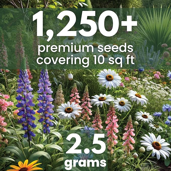Perennial Species Mix - Large 2,500mg Envelope - 1,250 Flower Seeds for Planting - Wildflower Mix