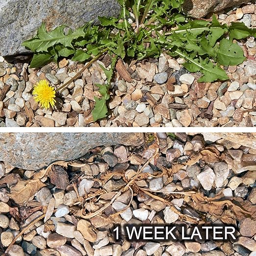 Dandelion Weeder Tool-Manual Weeder, Hand Weeder/Puller Alternative- Dandelion Illimination-Inject Root with Vinegar- Attach to Garden Sprayer-No Digging, Pulling, No Holes to Repair-Patent Pending