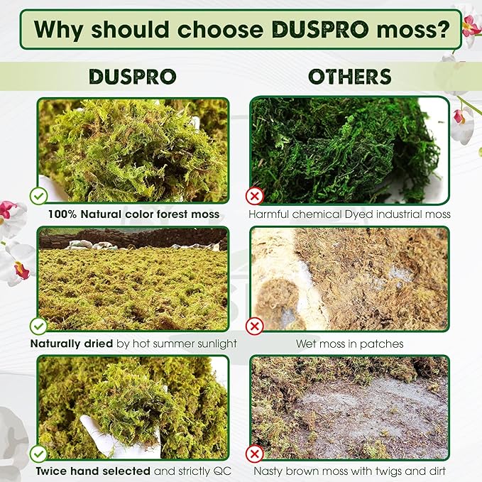 DUSPRO Big Bag Dried Forest Moss for Plant Propagation Sphagnum Moss Bulk for Orchid Repotting Mix Organic Soil Medium Bale Premium Hand Selected 16 QRT