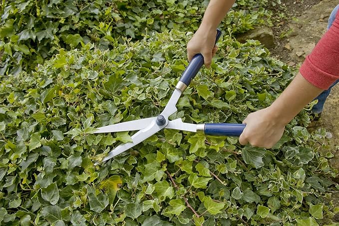 Spear & Jackson 4875RSS Razorsharp Steel Wood Handle Shears, Multicoloured