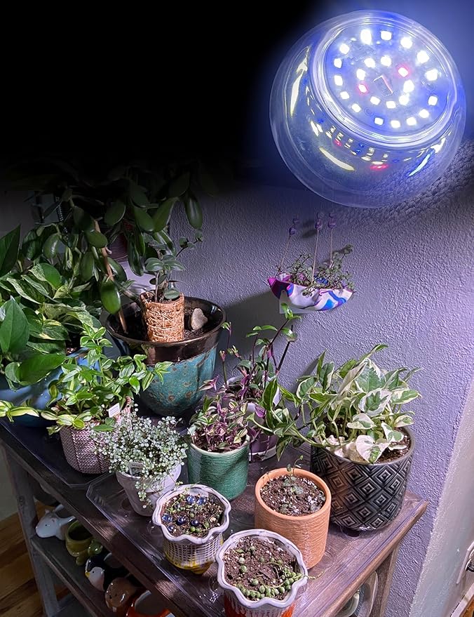 Grow LED Light Bulbs Full Spectrum, E12 12W Small Candelabra Plant Growing Bulbs 100w Equivalent, Balanced Spectrum 5000K Blue Red Sun Grow Plant Bulbs for Flowers,Seed Starting,Indoor Growing,6Pcs