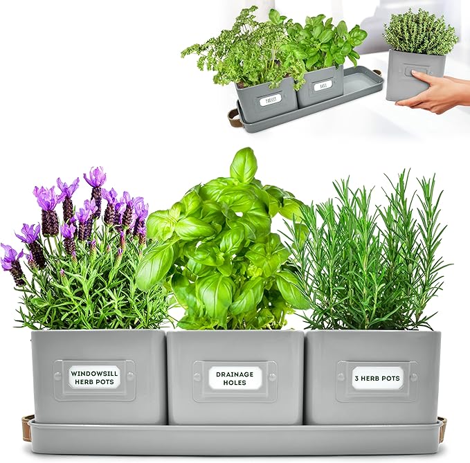Herb Planter Indoor - Set of 3 Grey Indoor Herb Garden Pots for Plants with Leather Handled Tray - Window Sill Plant Shelf - Herb Pots with Drainage Holes and Labels