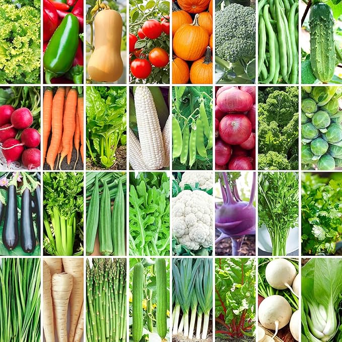 32 Varieties Vegetable Seeds for Planting, 8,600+ Heirloom Seeds Gift Pack, Non-GMO Veggies Seed Garden Kit for Indoor Outdoor Growing, Home Fresh Food Vegetable Supply
