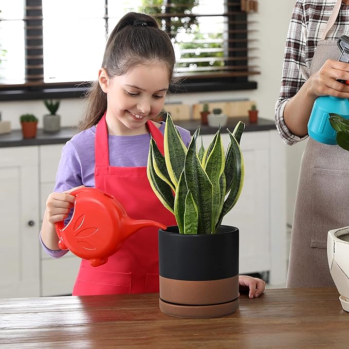 D'vine Dev Set of 2 Plants Pots, 6 Inch Ceramic Planter Pot for Plants with Drainage Hole and Saucer, Black/Speckled Tan, 94-V-C-7