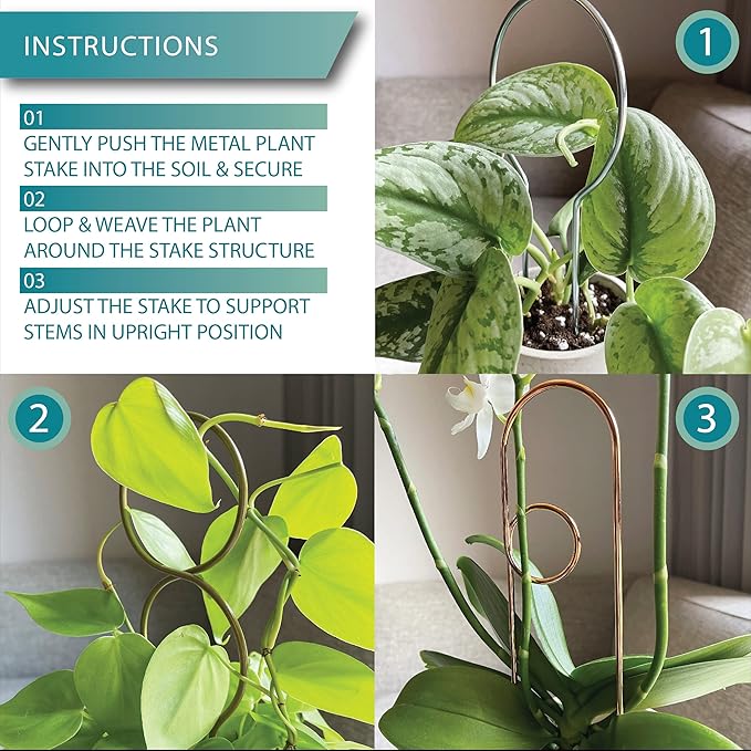 Small Metal Trellis for Indoor Plants Metal Plant Stake for Climbing House Plants Plant Support for Potted Plants Orchids, Monstera, Pothos, Ivy, Hoya, Philodendron Set of 4 (Simply Silver)