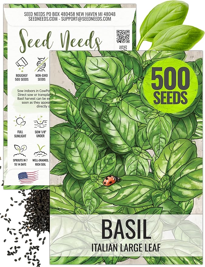 Seed Needs Italian Large Leaf Basil Seeds for Planting - Non-GMO, Heirloom & Untreated - Organically Grow an Indoor or Outdoor Home Grown Herb Garden (1 Pack)