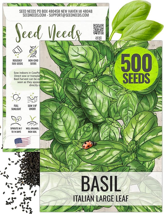 Seed Needs Italian Large Leaf Basil Seeds for Planting - Non-GMO, Heirloom & Untreated - Organically Grow an Indoor or Outdoor Home Grown Herb Garden (1 Pack)