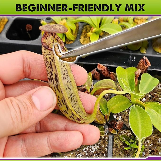 DUSPRO Carnivorous Plant Soil Mix 3QT-Include Forest Moss, Peat Moss, Perlite Potting Mix for Carnivorous Plants, Carnivorous Plants, Pitcher Plant, Butterworts, Sundews - Carnivorous Plant Food