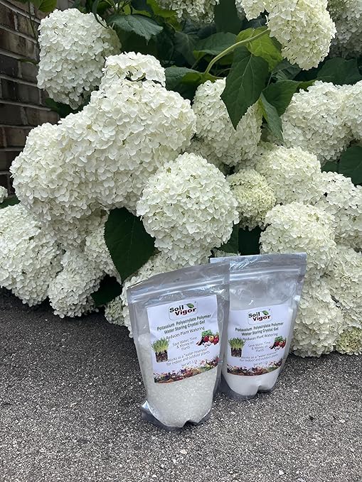 Commercial Grade Super Absorbent Polymer Potassium Based Water Crystal (5 Pound)