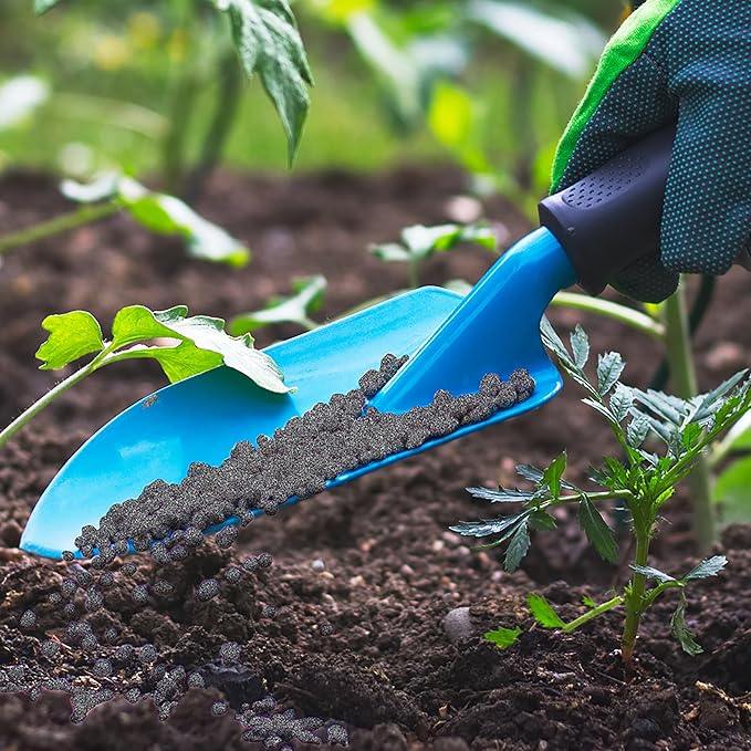 Jobe’s Organics Granular Fertilizer, Organic Fertilizer for Palm Trees and Plants, 4 lbs Bag (Pack of 2)