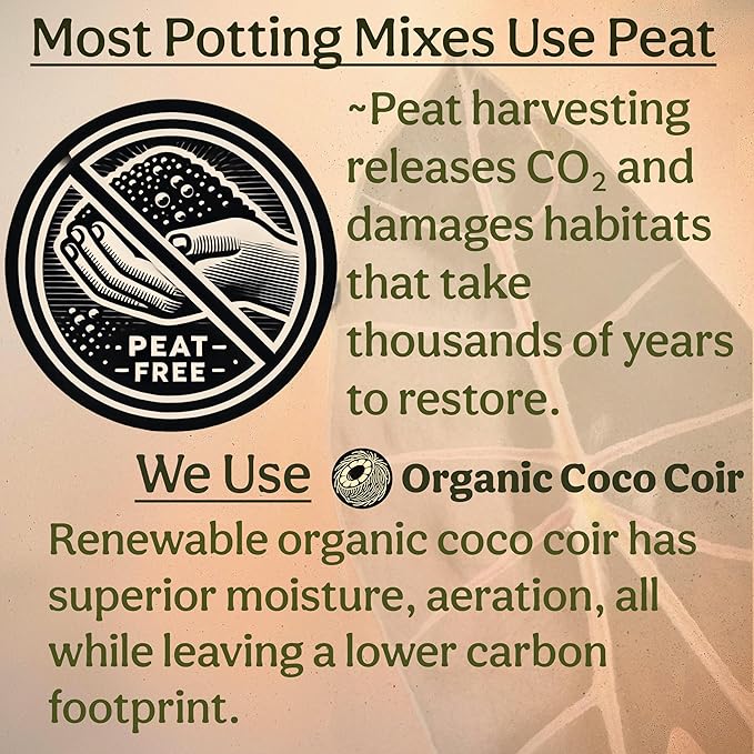 Craft Aroid Potting Mix- Elite Alocasia, Philodendron, Monstera Soil Mix, Chunky, Well Draining Potting Soil for Indoor Plants, All Tropical Plants & Houseplants, Peat Free 12QT