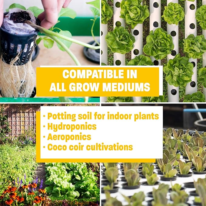 Humboldts Secret Golden Tree: Best Plant Food for Plants & Trees - All-in-One Concentrated Organic Additive - Vegetables, Flowers, Fruits, Lawns, Roses, Tomatoes & More (2 Ounce)