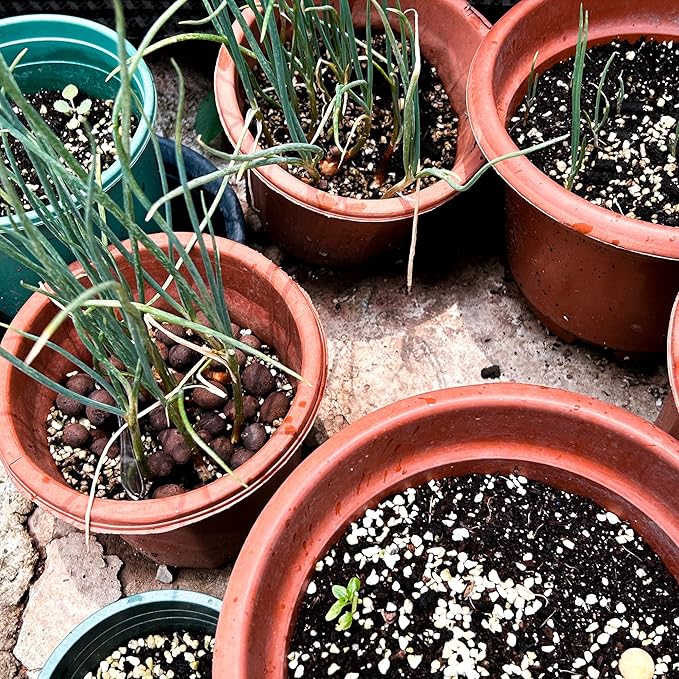 18 Quarts Perlite for Plant Soil - Amendment for Potting Soil, Improves Drainage and Aeration for Soil,Better for Root Growth…