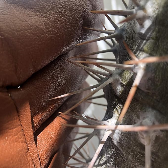 Rose Pruning Gloves, Leather Garden Gloves Long Gardening Gloves for Women and Men Rose Gloves Cut Proof Cowhide Suede Gauntlet Brown Garden Gloves Work Rose Gardening Gloves S