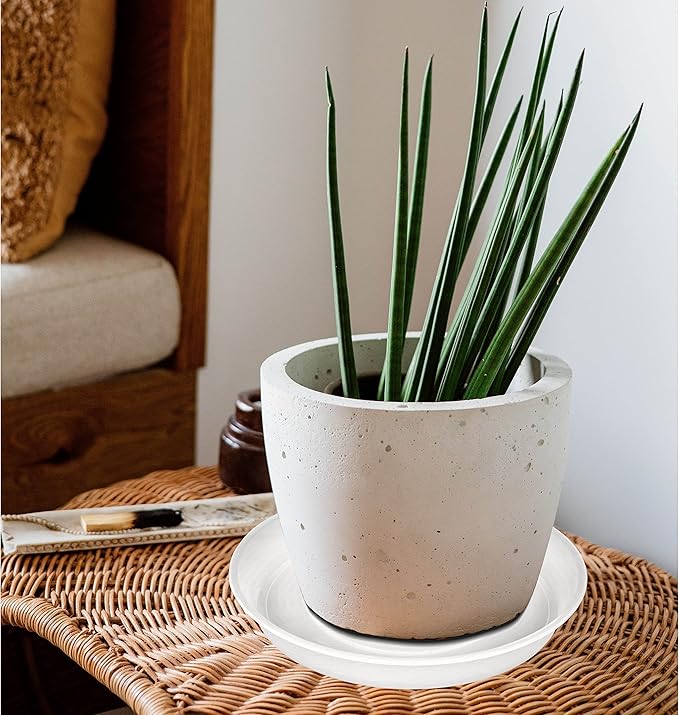 6 Pack of 10 inch Plant Saucer Clear, Heavy Duty Plastic Plant Saucer 10 inch, Durable Plant Tray for Pots, Flower Plant Saucers for Indoors, Plant Trays for Planter 8"/9"/10" (10", Clear)