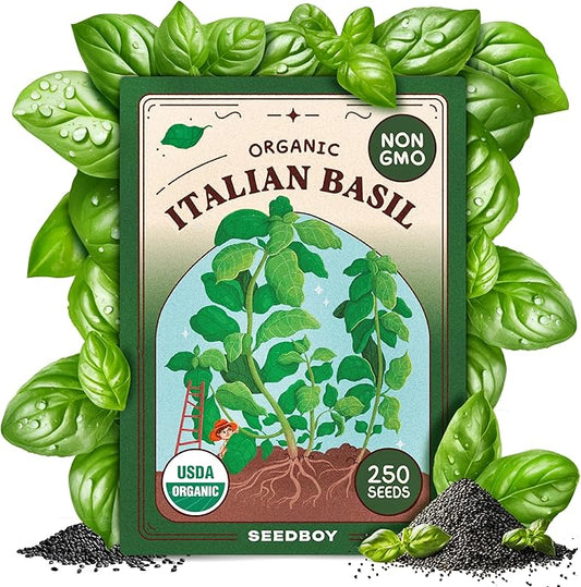 Organic Basil Herb Seeds for Indoor Gardening or Planting Outdoors, Non-GMO and USDA Certified Herb Seed Packets, 250 Seeds/1 gram (Genovese Basil)