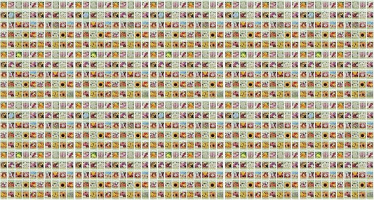 Black Duck Brand Set of 1000 Flower Seed Packets! Flower Seeds in Bulk - Best Value Seeds - Great for Classrooms, Beginner Gardeners and Kids! - Deluxe Varieties! (1000)