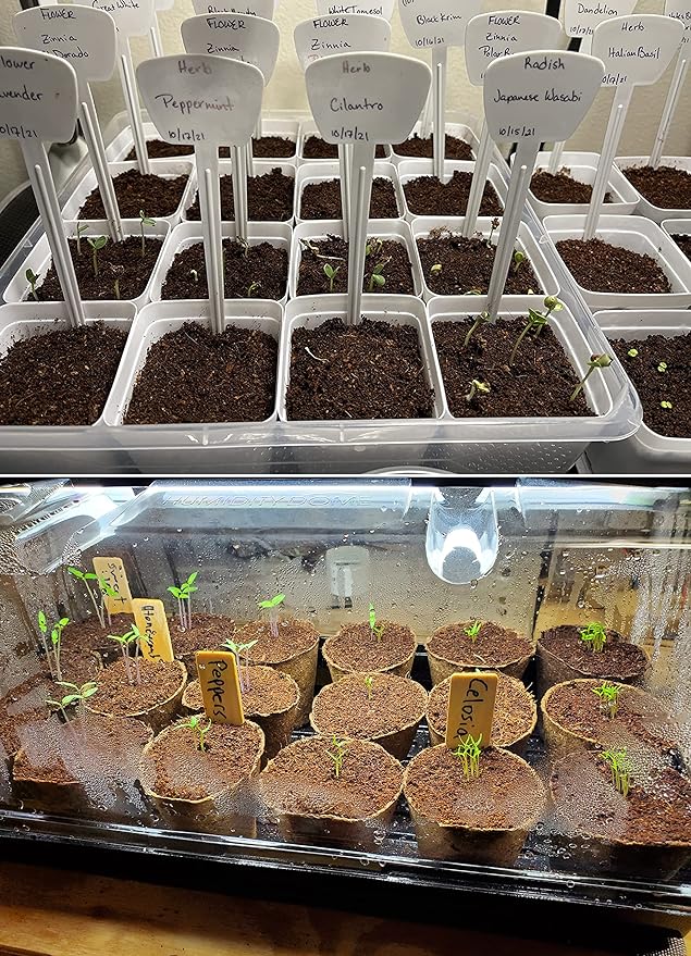 15 QT Professional Grade Horticultural Organic Vermiculite (15 QT, Vermiculite)