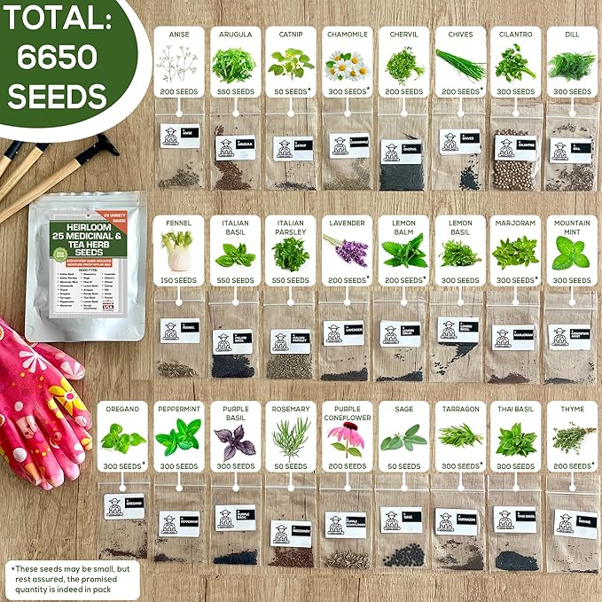 Set of 25 Medicinal Herbs and Herbal Tea Garden Seed Collection - Assorted Culinary Herb Seeds Variety Pack Including Lavender, Chamomile, Thyme, Oregano, Marjoram, and More