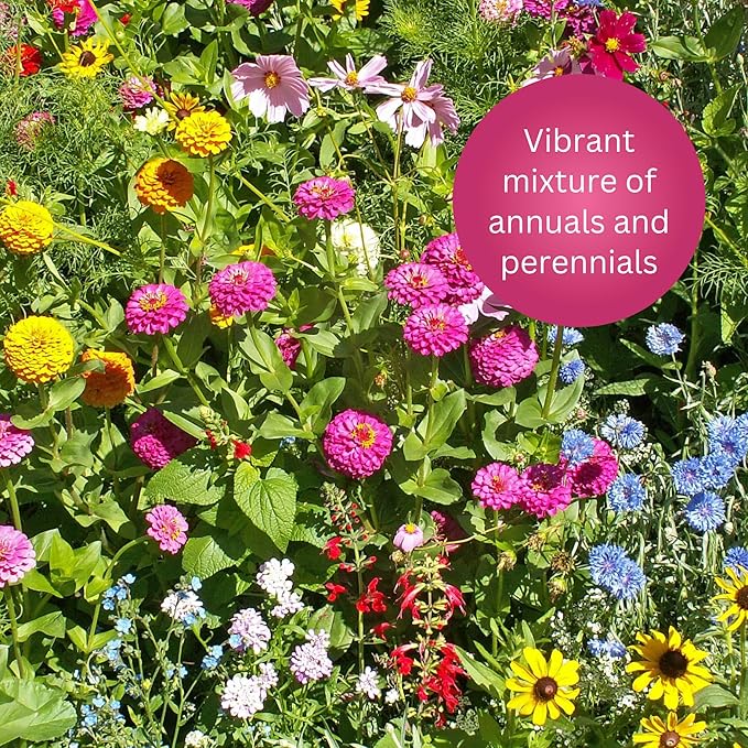 Earth Science 6 lb Wildflower Butterfly & Hummingbird Mix, 3-in-1 Premium Wildflower Seed, Plant Food and Soil Conditioners, Non-GMO for Bees, Hummingbirds, Butterflies, Pollinators