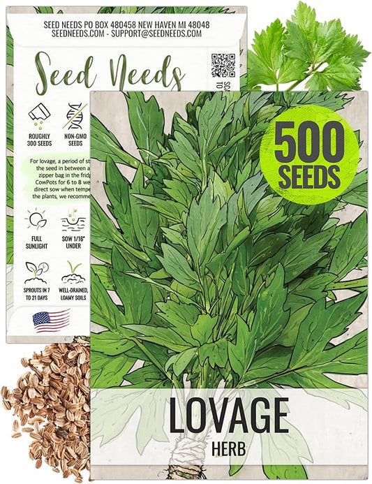 Seed Needs Lovage Seeds for Planting - Non-GMO, Heirloom & Untreated - Organically Grow Your own Medicinal/Culinary Herb Garden Indoors or Outdoors (1 Pack)