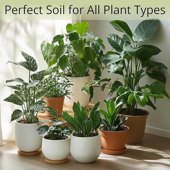 Coconut Coir Potting Soil for Indoor Plants - Expands to 5 Quart (11 lb) | Perfect for General Houseplants, Herbs, and Bonsai Trees - Expands with Water