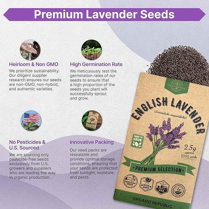 Organo Republic 5-Pack English Lavender Seeds 12.50G - Over 11000 Non-GMO Heirloom Lavender Seeds for Planting in Individual Seed Packets, Herb Seeds for Planting Home Garden Indoor & Outdoor