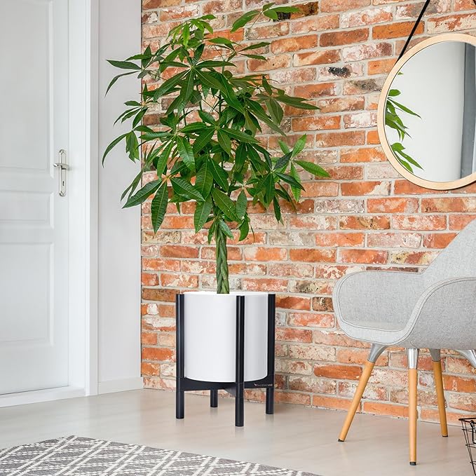 D'vine Dev Planter Pot with Stand - 12 Inch Plastic Cylinder Flower Pot with Wood Planter Holder for Indoor, Matte White Pot + Ebony Stand, 55-C-H-1