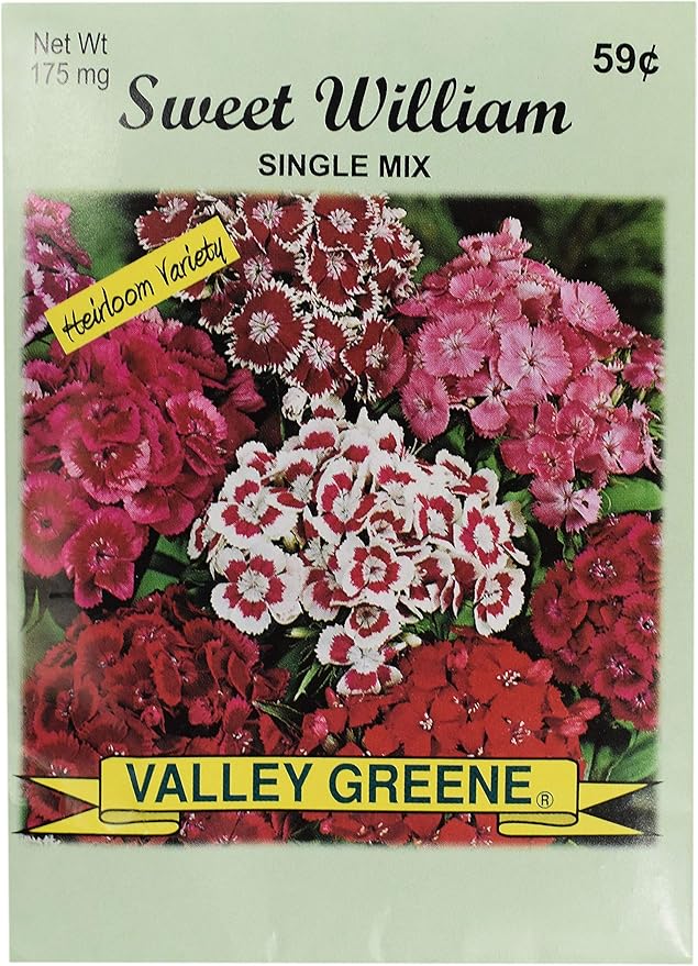 Black Duck Brand Set of 25 Sweet William Single Mix Flower Seed Packets! Flower Seeds in Bulk - Great for Creating The Garden of Your Dreams! (25, Sweet William - Single Mix)