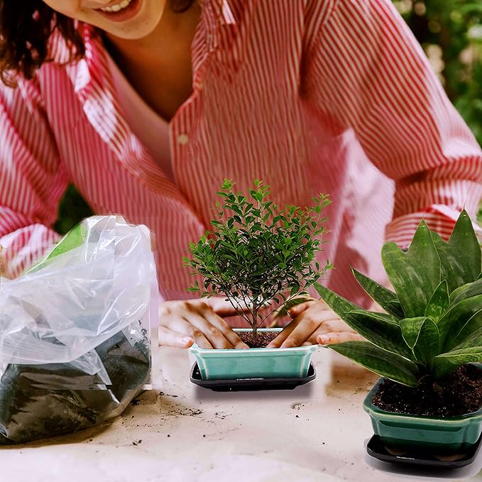 FFPOPU 3-Packs Ceramic Bonsai Pots with Drainage Tray, 6-inch Cute Bonsai Tree Pot with Ice Cracked Glaze, Small Bonsai Planter Pot for Desktop Decoration