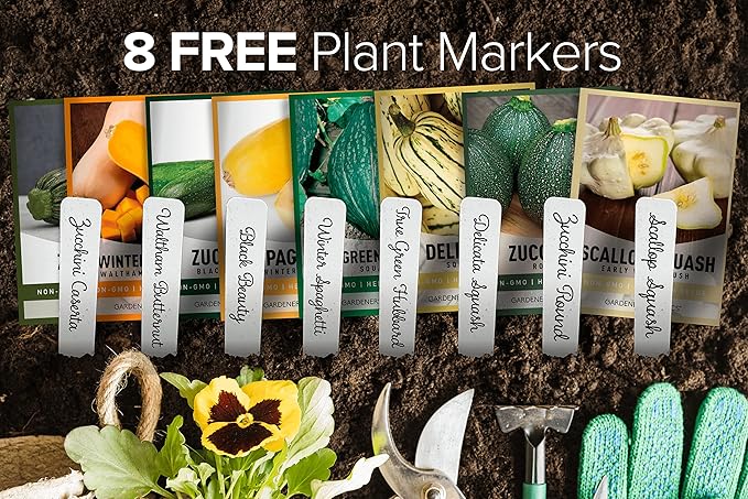 Gardeners Basics, 8 Squash Seeds for Planting Individual Packets - Zucchini, Delicata, Butternut, Spaghetti, Scallop, Caserta, Round and Hubbard for Your Non GMO Heirloom Vegetable Garden