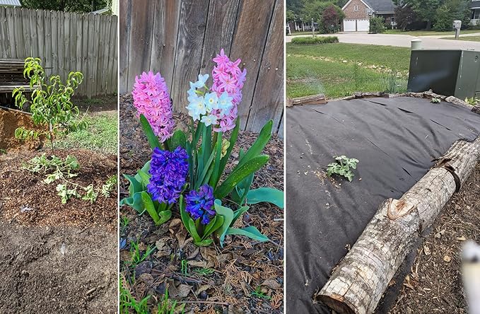 15 QT Professional Grade Horticultural Organic Vermiculite (15 QT, Vermiculite)