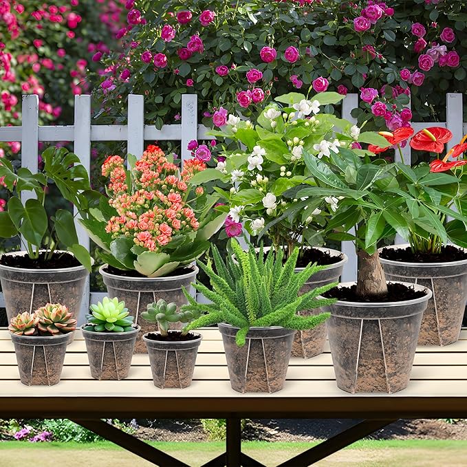 5 Sets 8 Inch Transparent Plastic Garden Pots Planter with Saucer Plant Planter Drainage Hole Plastic Pots for Plants Indoor and Out Door House Plants with 10pcs Plant Labels