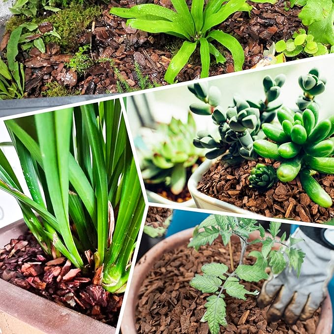9 qt Organic Orchid Potting Bark -Natural Mulch for Potted Plants, Root Development of Orchid Plants and Garden Soil Amendment Mix