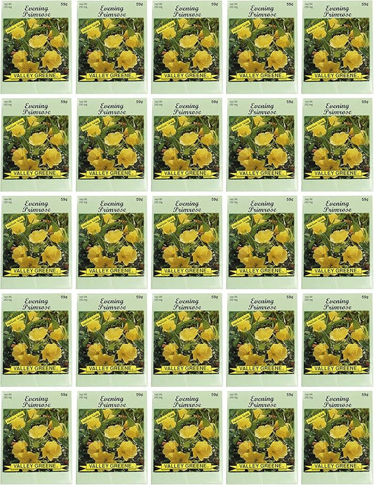 Black Duck Brand Set of 25 Evening Primrose Flower Seed Packets! Flower Seeds in Bulk - Great for Creating The Garden of Your Dreams! (25, Evening Primrose)